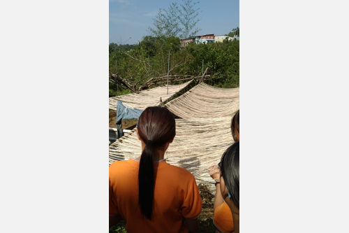 八仁女生編織課：看苧麻