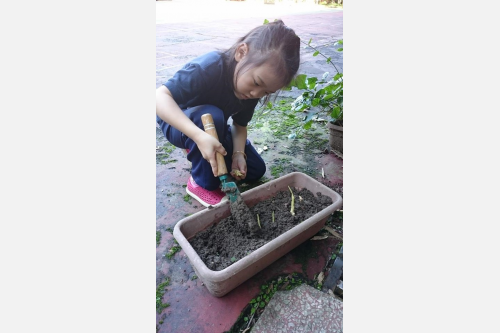 雖然年紀小拿不動鋤頭，仍然可以用剪刀、鏟子進行綠色工程