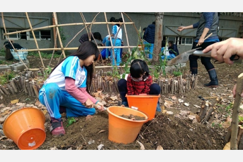 實作樸門厚土菜園